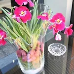 蒙特贝罗酒店